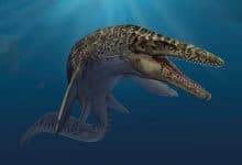 الموساصور - ديناصور بحري