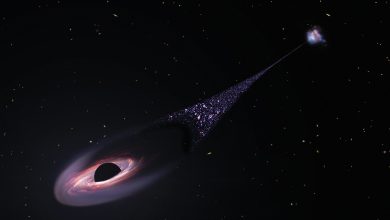 ثقب أسود هارب